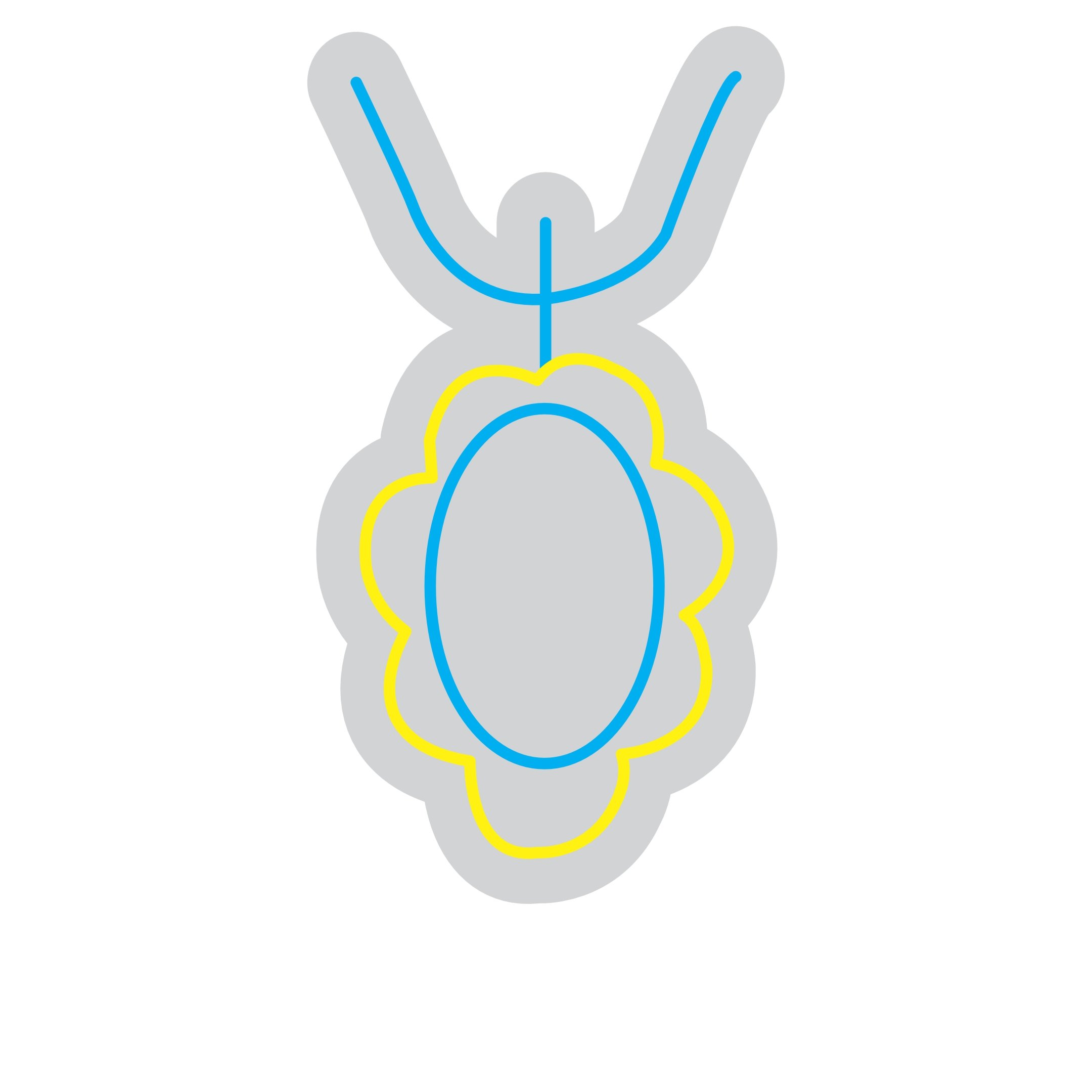 Custom Neon | Necklace Design Neon Sign | 24x13 | Blue and Yellow Lighting Display 3