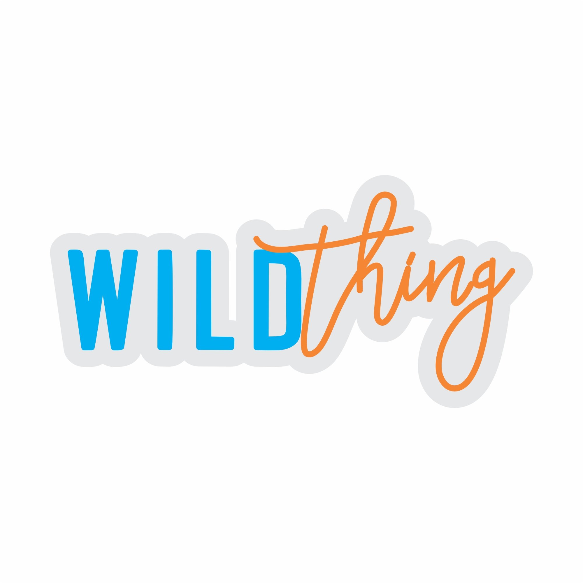 Custom Neon | Wild Thing Neon Sign | 12x25 | Ice Blue Warm Orange Neon Sign 3