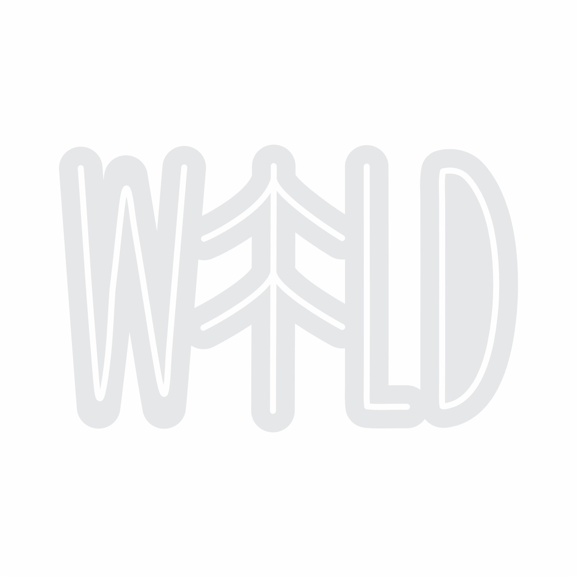 Custom Neon | Wild Neon Sign | 15x24 Inches | White Neon Sign for Home & Bar Decor 3