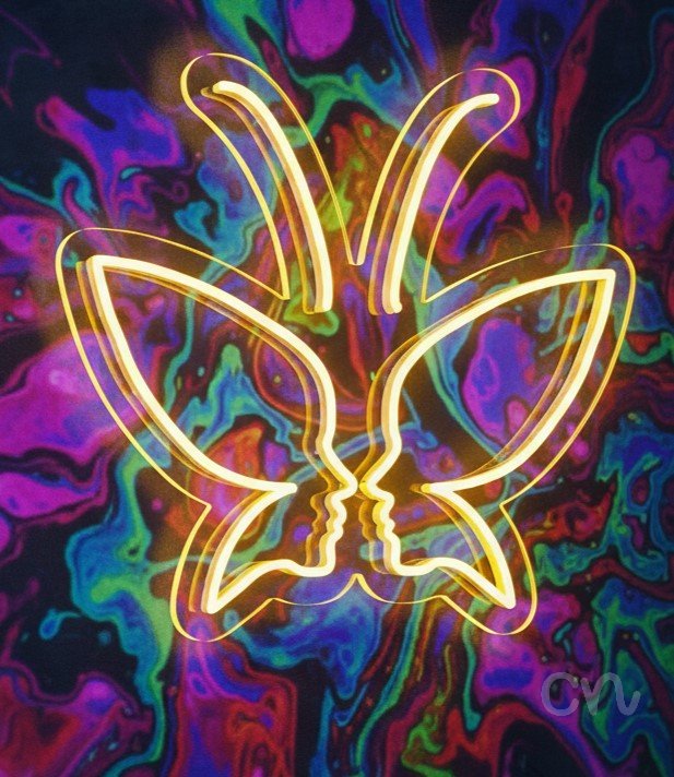 Custom Neon | Butterfly with Faces Neon Sign | 24x23 Inches | Yellow Neon Light 2