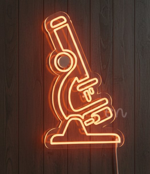 Custom Neon | Neon Flex Planet Sign Plug In | 24x15