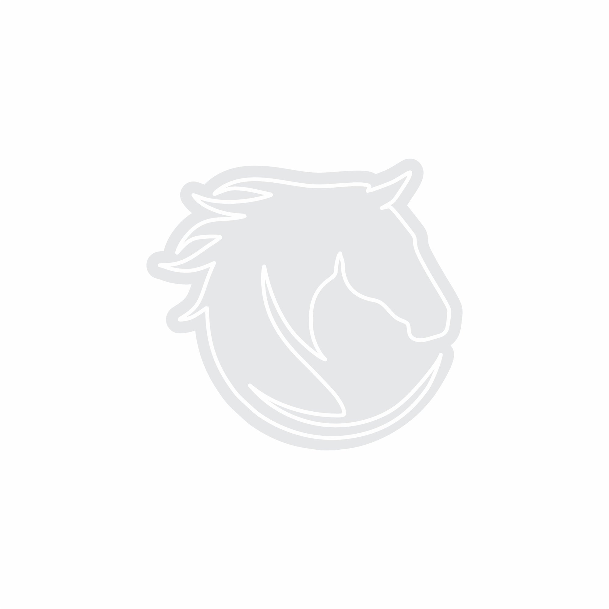 Custom Neon | Horse Head Neon Sign | 17x26 | Warm White 3