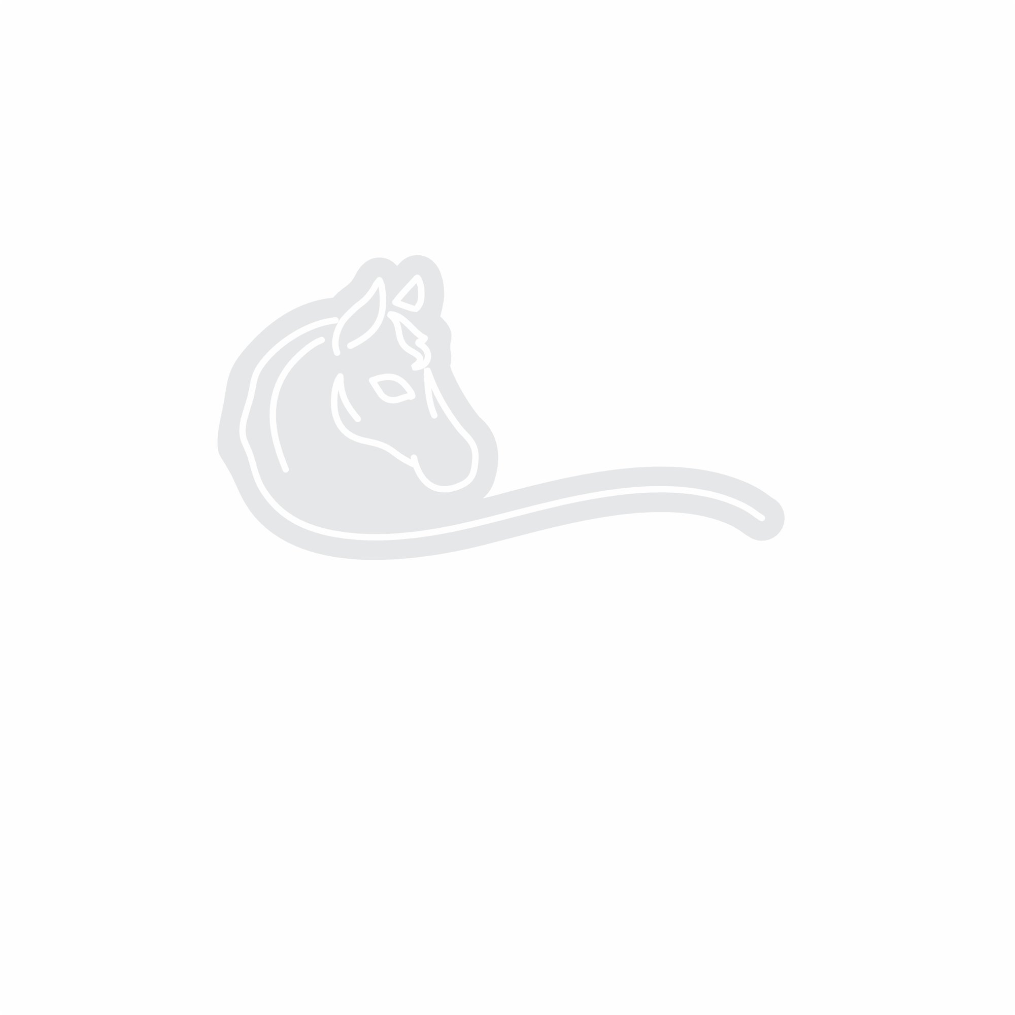 Custom Neon | Horse Head Neon Sign | 15x28 | Warm White | Rustic Farmhouse Decor 3