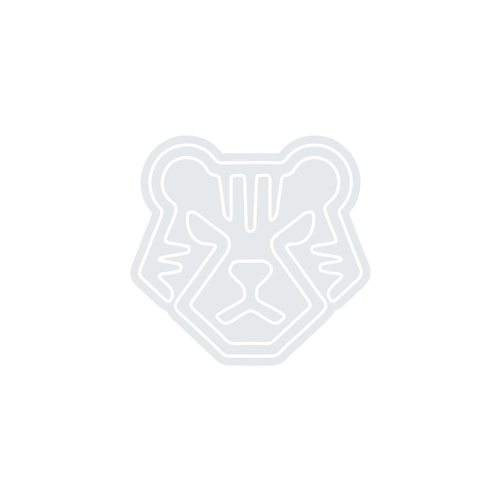 Custom Neon | Tiger Face Neon Sign | 23x24 Inches | Warm White Neon Sign 3