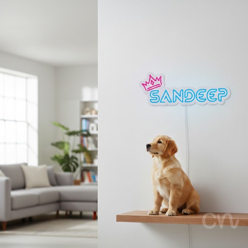 Custom Neon | Sandeep Neon Sign | 9x24 Inches | Ice Blue and Hot Pink Neon Sign 2