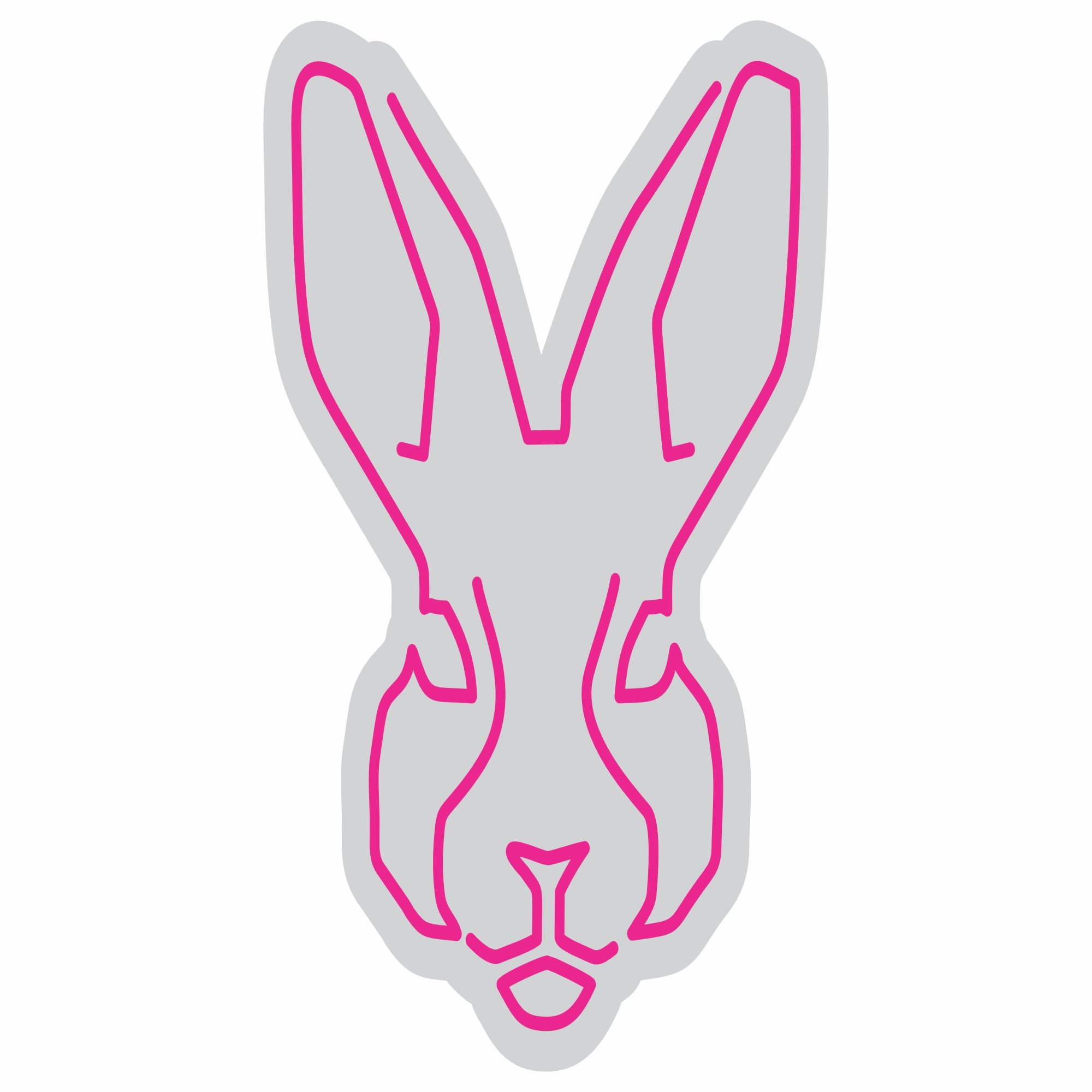 Custom Neon | Rabbit Face Neon Sign | 23x18 | Hot Pink 3