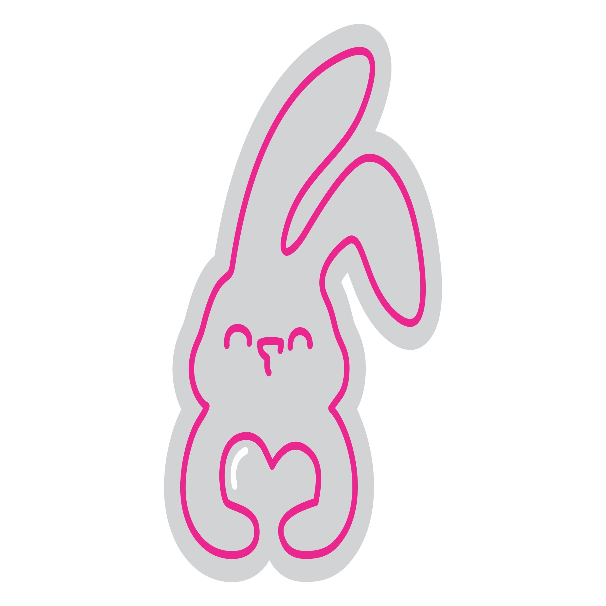 Custom Neon | Rabbit Design Neon Sign | 22x16 | Hot Pink 3