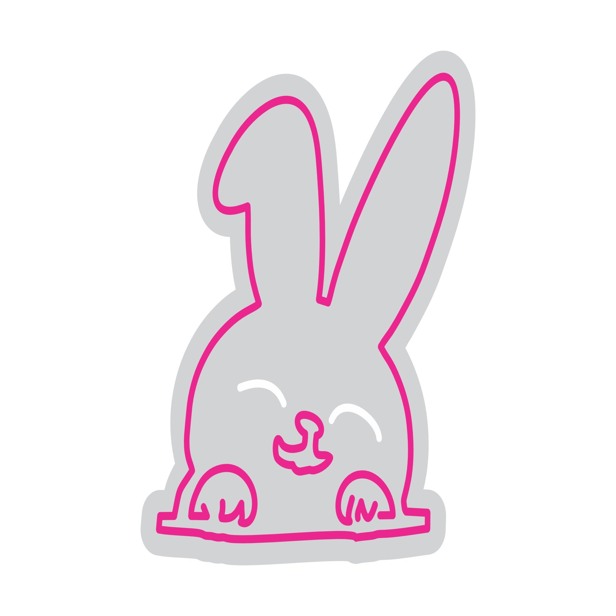 Custom Neon | Bunny Design Neon Sign | 20x19 | Hot Pink Color for Home Decor 3