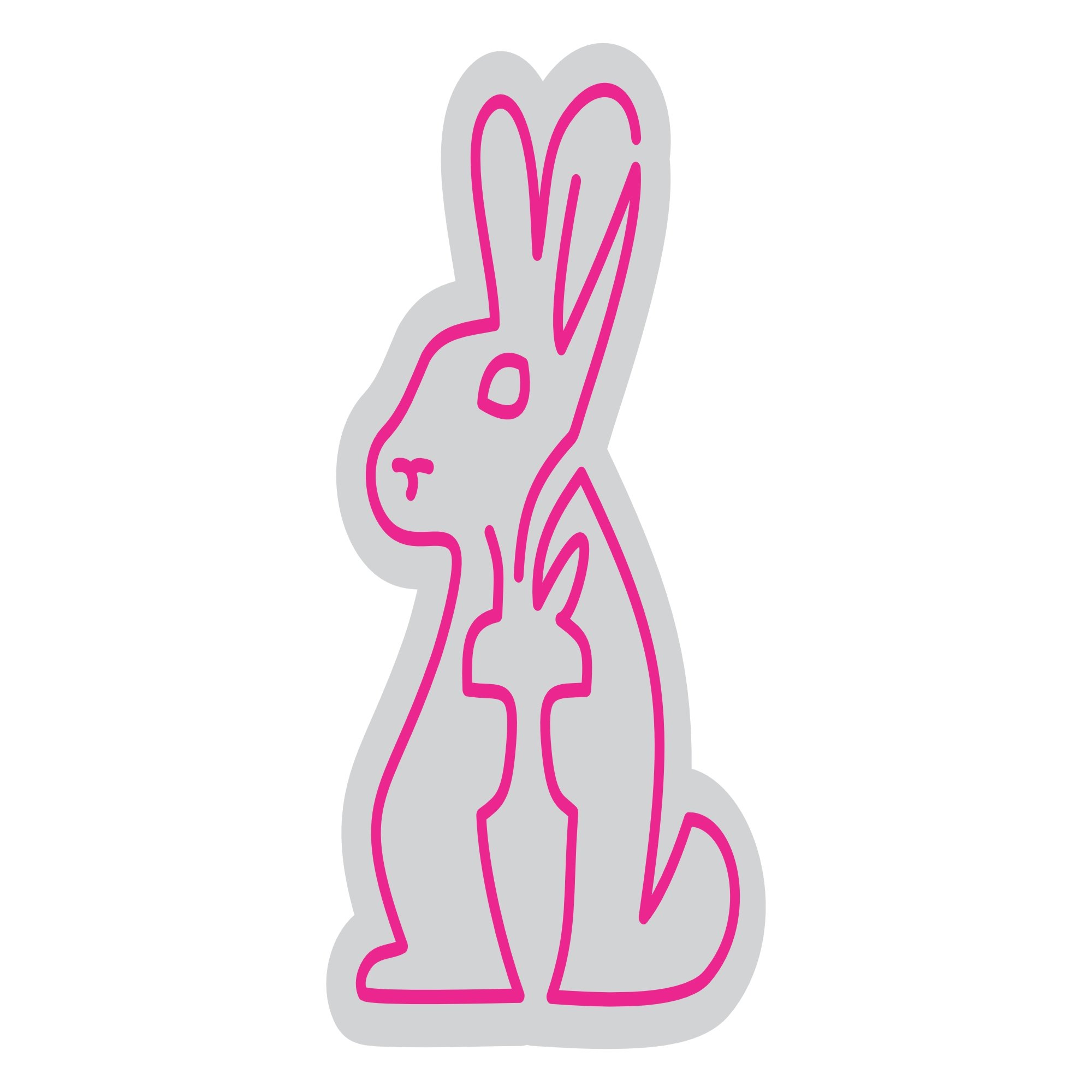 Custom Neon | Rabbit Neon Sign | 22x14 | Hot Pink Neon Sign for Decor and Parties 3