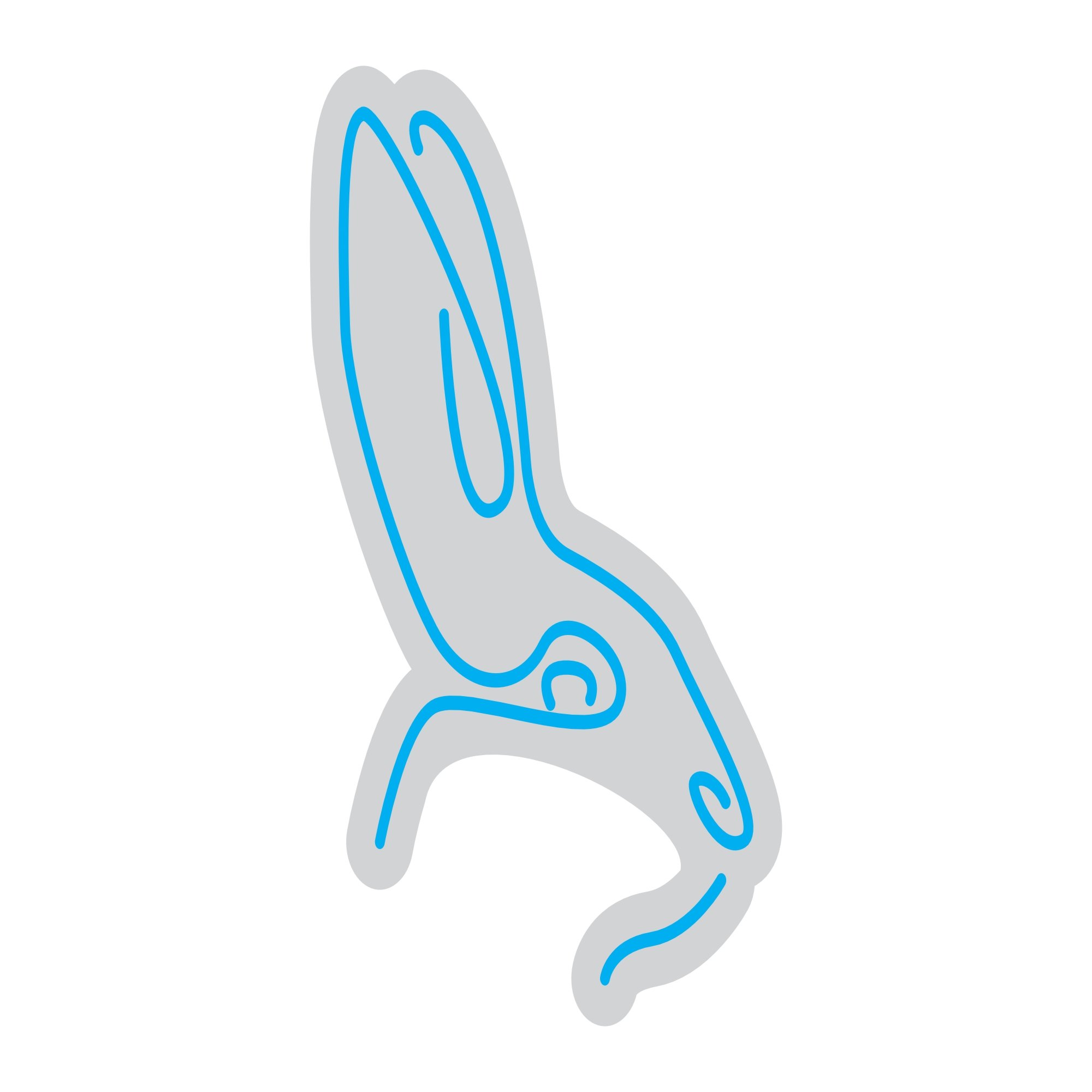 Custom Neon | Rabbit Neon Sign | 21x15 | Ice Blue Neon Sign for Decor and Bedroom 3