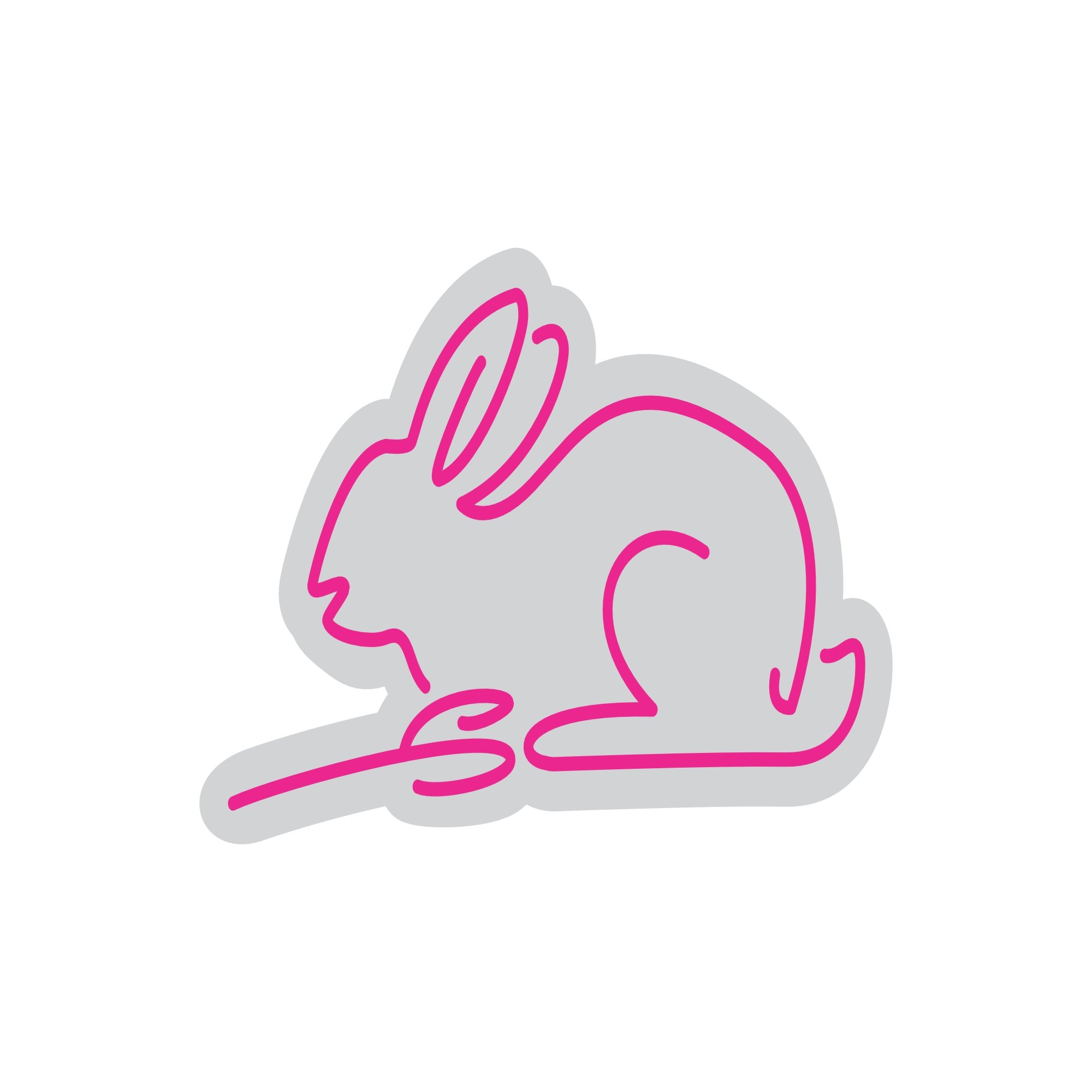 Custom Neon | Rabbit Neon Sign | 13x22 | Hot Pink Neon Sign for Bedroom Bar Lounge 3