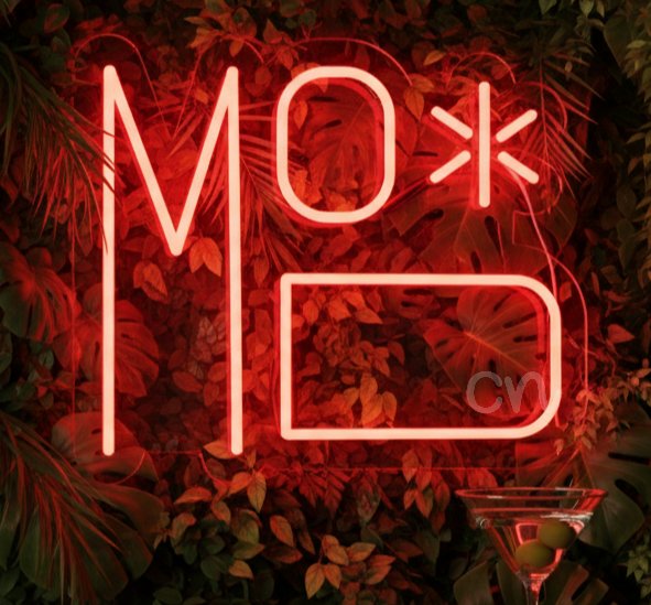 Custom Neon | Mood Neon Sign Red LED | 14x 16