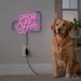 Custom Neon | Special Offer Neon Sign | 22x28 Inches | Hot Pink and Blue Neon Sign 2