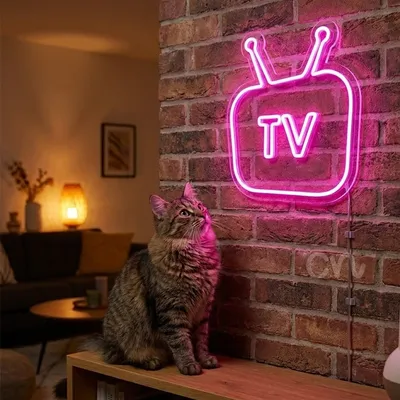 Custom Neon | Retro TV Neon Sign with Antenna | 24x20 Inch Pink