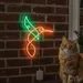 Custom Neon | Hummingbird Design Neon Sign | 24x18 | Green and Orange Colors 2