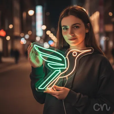 Custom Neon | Hummingbird Neon Sign | 24x30 | Green and Orange Neon Lights