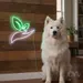 Custom Neon | Hand with Leaves Neon Sign | 24x22 | Green and White 2