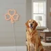Custom Neon | Clover Shape Neon Sign | 24x24 | Orange | Perfect for Home Decor 2