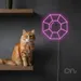 Custom Neon | Gem Shape Neon Sign | 22x22 | Hot Pink 2