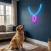 Custom Neon | Necklace with Pendant Neon Sign | 20x19 | Ice Blue and Hot Pink 2