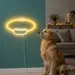 Custom Neon | Ring Shape Neon Sign | 12x20 | Yellow Neon Sign for Home Decor 2