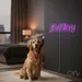 Custom Neon | Jewellery Neon Sign | 8x26 | Pink Wall Decor for Jewelry Shops 2