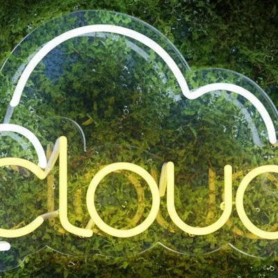 Custom Neon | LOUDS Clouds Neon Sign | 8x24