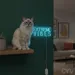 Custom Neon | Extreme Vibes Neon Sign | 11x24 | Ice Blue Neon Sign for Modern Decor 2