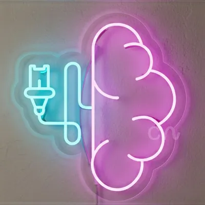 Custom Neon | Neon Flex Sign Plug-in | 22x24