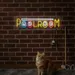 Custom Neon | Poolroom Neon Sign | 12x38 | Yellow, Blue, Red, Orange Neon Sign 2