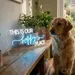 Custom Neon | This is Our Happy Place Neon Sign | 30x14 | White and Blue 2