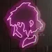 Custom Neon | Inch Pink Anime LED Neon Sign Wall Light | 27x22 1