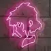 Custom Neon | Inch Pink Anime LED Neon Sign Wall Light | 27x22 2