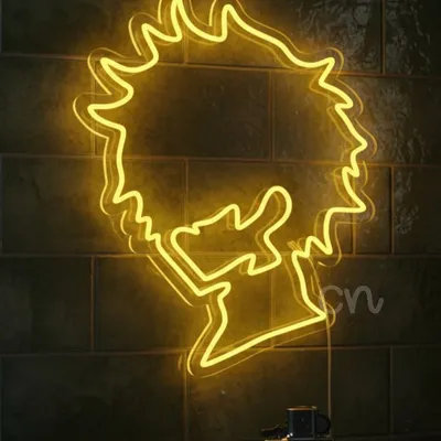 Custom Neon | Anime LED Neon Sign Wall Light | 28x24