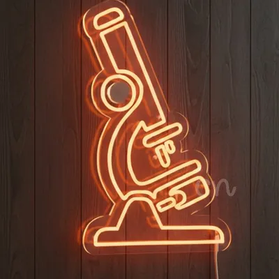 Custom Neon | Neon Flex Planet Sign Plug In | 24x15