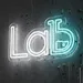 Custom Neon | Lab Logo Neon Sign | Flexible LED Neon Flex Wall Light Plug In Medical Science Lab Decor | Vibrant Battery Free Lab Neon Board for Bedroom Office Cafe India | 12x24 | Blue 1