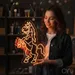 Custom Neon | Horse Design Neon Sign | 40x30.jp | Orange Color for Lounge Bar Decor 1