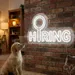 Custom Neon | Hiring Neon Sign | 15x24 Inches | White Neon Sign for Business 2