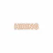 Custom Neon | Hiring Neon Sign | 7x24 | Orange Neon Sign for Business or Home Decor 3