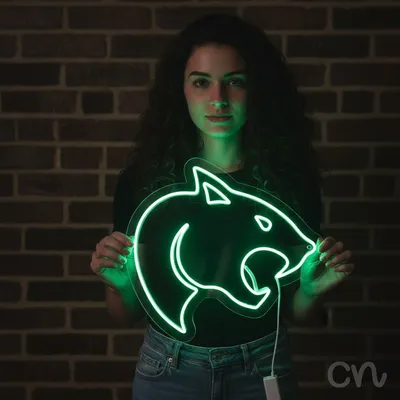 Custom Neon | Cat Face Neon Sign | 22x24 Inches | Green Neon Sign for Bedroom Decor