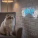 Custom Neon | Shoes Neon Sign | 10x24 | Ice Blue Neon Sign for Shoes Store Display 2