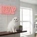 Custom Neon | Luv Neon Sign | 11x24 | Red Neon Sign for Romantic Decor or Bedroom 2