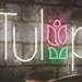 Custom Neon | Tulip Neon Sign, Floral LED Wall Light, Pink Green | 16x24 2