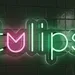 Custom Neon | Tulips Neon Sign LED Wall Light | Pink & Green | 10x21 2