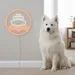 Custom Neon | Ship Design Neon Sign | 21x21 Inches | White and Orange Neon Sign 2