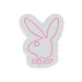 Custom Neon | Rabbit Head Neon Sign | 16x13 | Hot Pink Bright Sign for Home Office 3