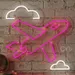 Custom Neon | Airplane with Clouds Neon Sign | 20x20 inches | Pink 1