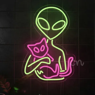 Custom Neon | Alien with Cat Neon Sign | Green & Pink | 20x14