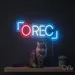 Custom Neon | [rec] Neon Sign | 9x24 | Red Neon Sign for Home Bar Bedroom Party Decor 2
