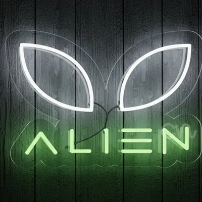 Custom Neon | Neon Flex Alien Sign | 12x17